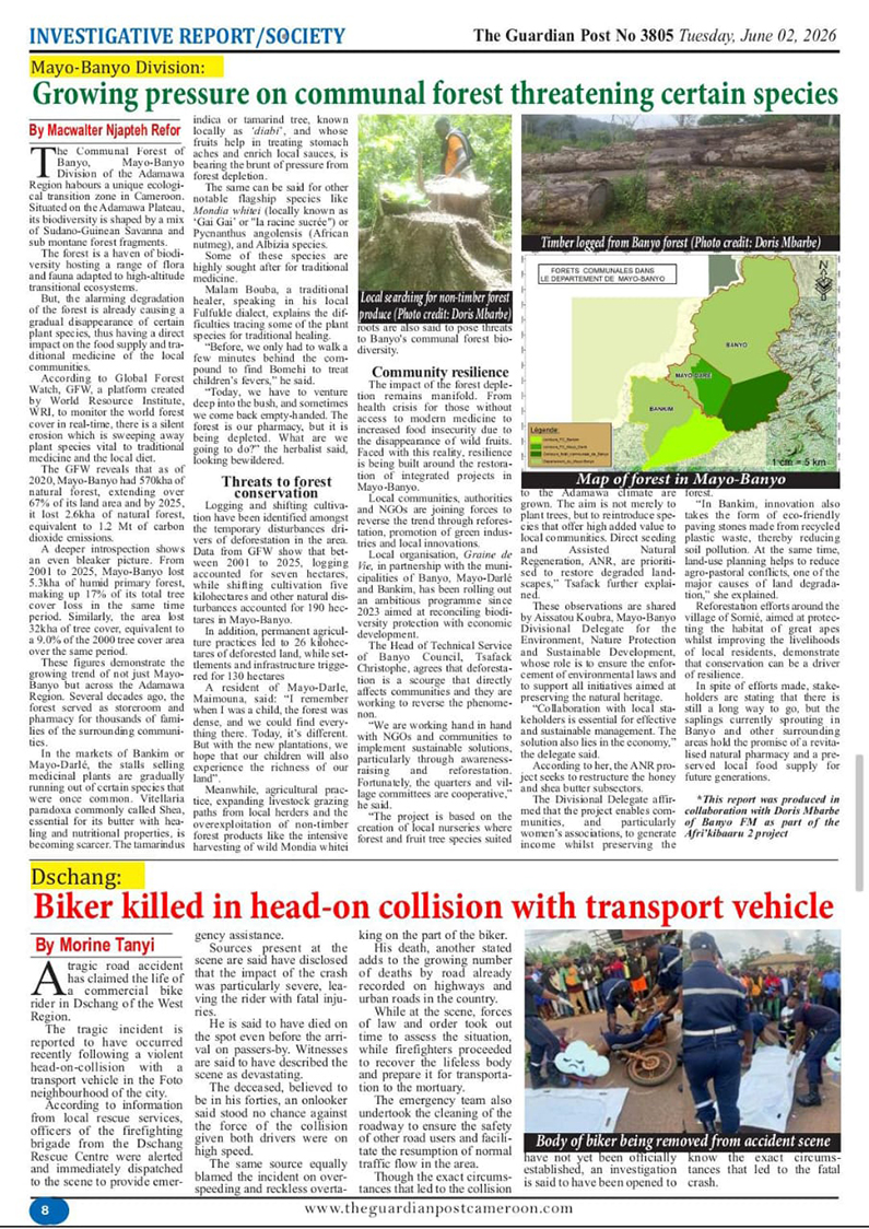theguardianpost_deforestation