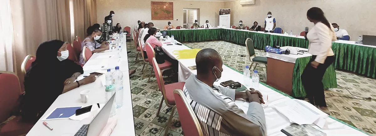 Consultation workshops in Bamako and Niamey for media discussions