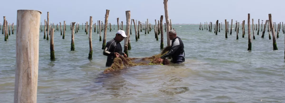 Emploi et défis environnementaux dans le Sud de la Méditerranée : informer sous l’angle du journalisme de solutions