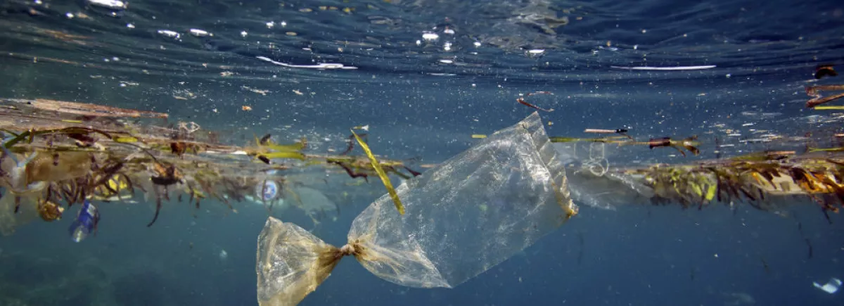 Des gourdes et une fontaine à eau pour ses formations ?  MédiaSahel prend un tournant plus respectueux de l’environnement