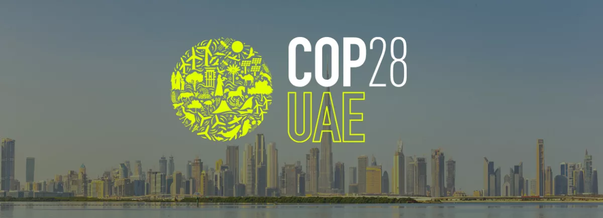 Twenty journalists from the Arab world and sub-Saharan Africa to attend COP28 