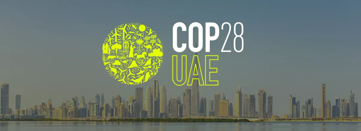 Vingt journalistes du monde arabe et d'Afrique subsaharienne en direct de la COP 28