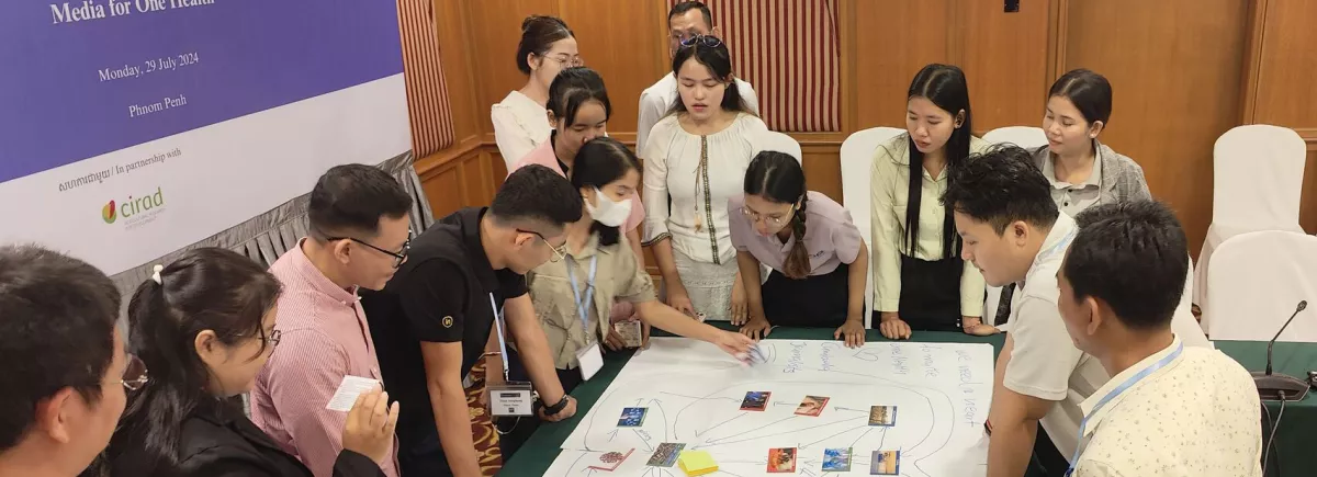 Une formation à l’approche "Une seule santé" pour quatorze journalistes cambodgiens