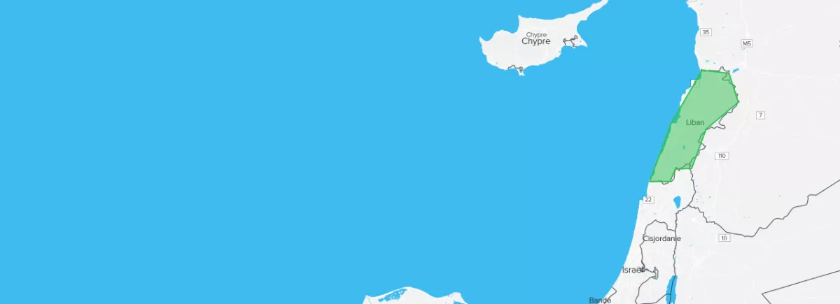 Panorama des médias en ligne : Liban