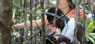 Preserving Kenyan mangroves