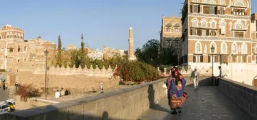 A webinar on COVID-19 media coverage in Yemen