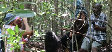 Investigative journalism to address climate change