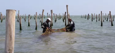 Employment and environmental challenges in the Southern Mediterranean: reporting from a solutions journalism angle