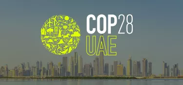 Vingt journalistes du monde arabe et d'Afrique subsaharienne en direct de la COP 28