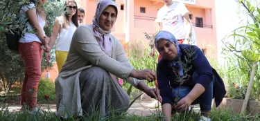 deux personnes plantent un arbre