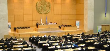 La liberté d’information et des médias nouveaux objectifs de développement pour l’ONU