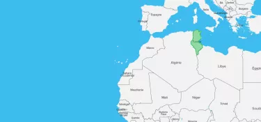 Panorama des médias en ligne : Tunisie