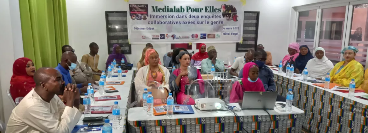 Four new investigations into gender inequality published in Niger and Côte d’Ivoire Four new investigations into gender inequality published in Niger and Côte d’Ivoire