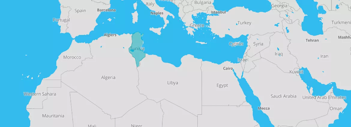 Les civic tech en Afrique : Tunisie